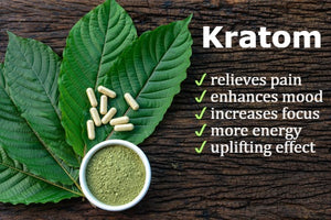 Kratom lakeshore vapors