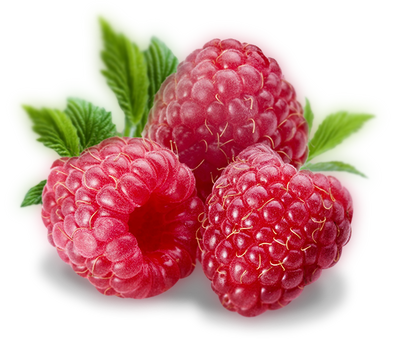 Raspberry Flavor at Lakeshore Vapors