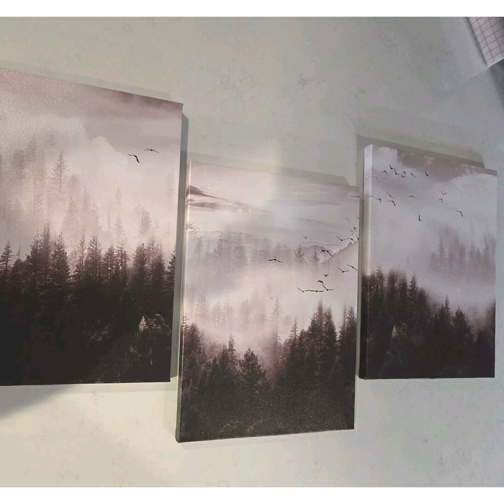 6735 3 Piece Art Canvas Framed Fo4ggy Hill W/Seagulls Landscape Art Hang Ready