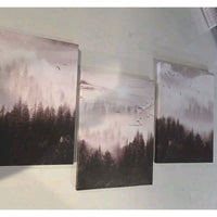 6735 3 Piece Art Canvas Framed Fo4ggy Hill W/Seagulls Landscape Art Hang Ready