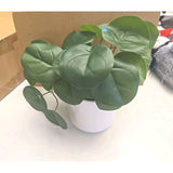 13099 Artificial Potted Plant in White Pot - Looks Real - Home Decoration