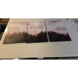 6735 3 Piece Art Canvas Framed Fo4ggy Hill W/Seagulls Landscape Art Hang Ready