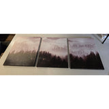 6735 3 Piece Art Canvas Framed Fo4ggy Hill W/Seagulls Landscape Art Hang Ready