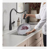 Kohler Lir high arch sweep spray Pull-Down Kitchen Faucet Matte Black  A117