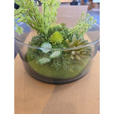 13075 Potted faux plants For Indoors Succulents Clear Display Black Bottom New