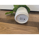 13099 Artificial Potted Plant in White Pot - Looks Real - Home Decoration