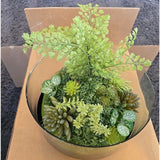 13075 Potted faux plants For Indoors Succulents Clear Display Black Bottom New