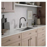 Kohler Lir high arch sweep spray Pull-Down Kitchen Faucet Matte Black  A117