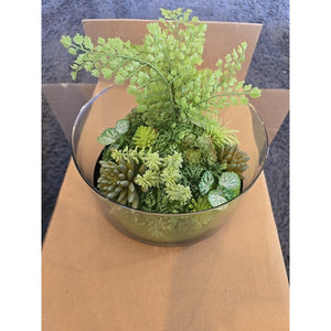 13075 Potted faux plants For Indoors Succulents Clear Display Black Bottom New