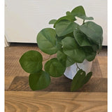 13099 Artificial Potted Plant in White Pot - Looks Real - Home Decoration
