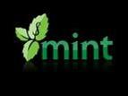 Mint Flavor