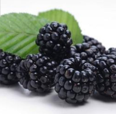 Blackberry Flavor