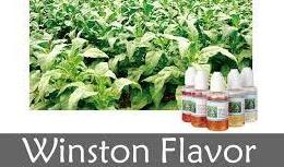 Wenston (Winston) Flavor