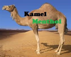 Kamel Menthol Flavor at Lakeshore Vapors
