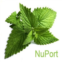 Nuport Flavor at Lakeshore Vapors
