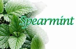 Spearmint Flavor